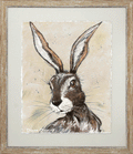 Harriet