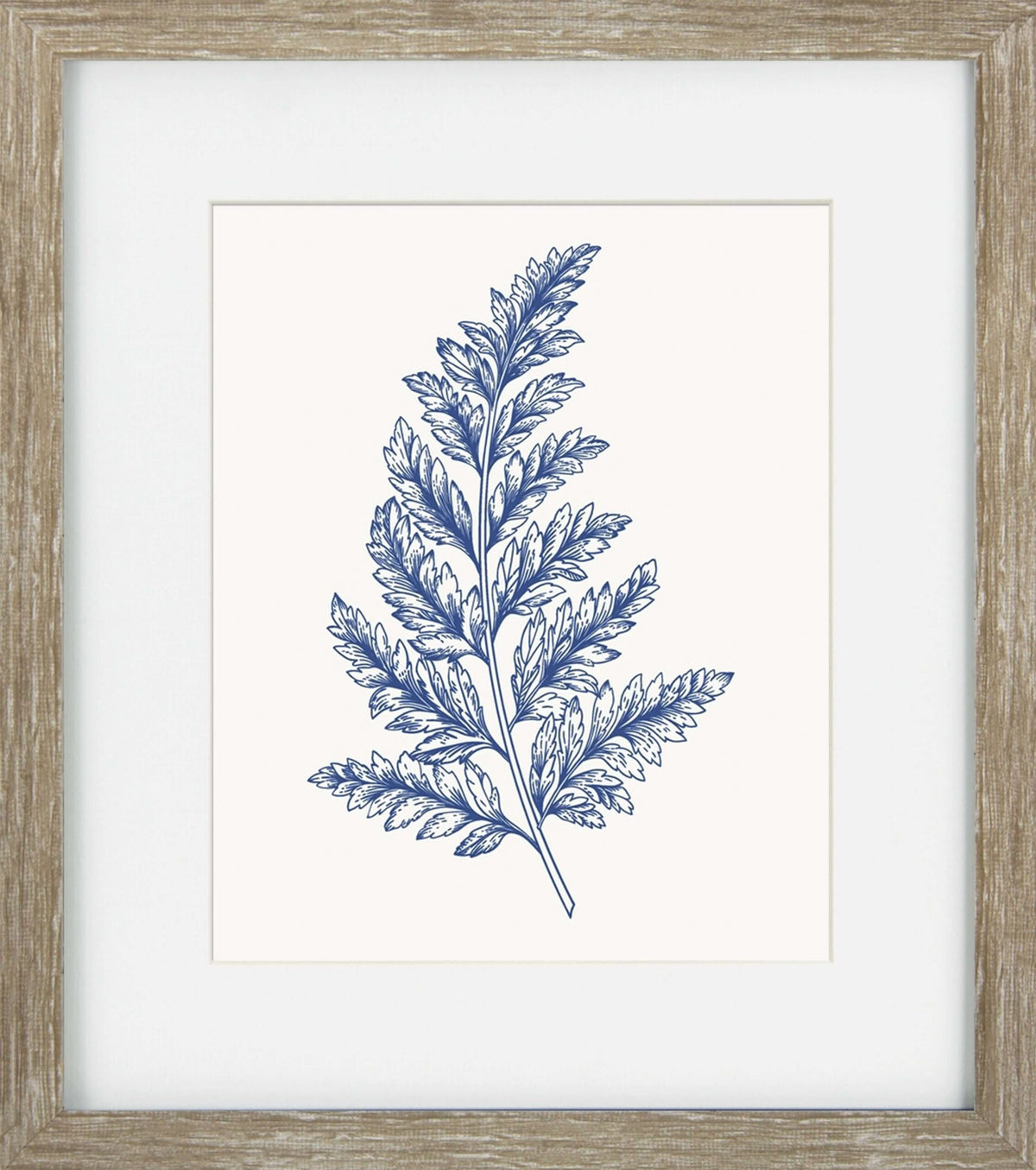 Blue Mist Ferns I