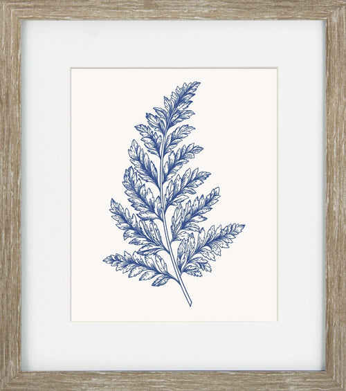 Blue Mist Ferns I