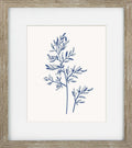 Blue Mist Ferns III