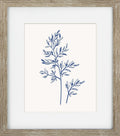 Blue Mist Ferns II