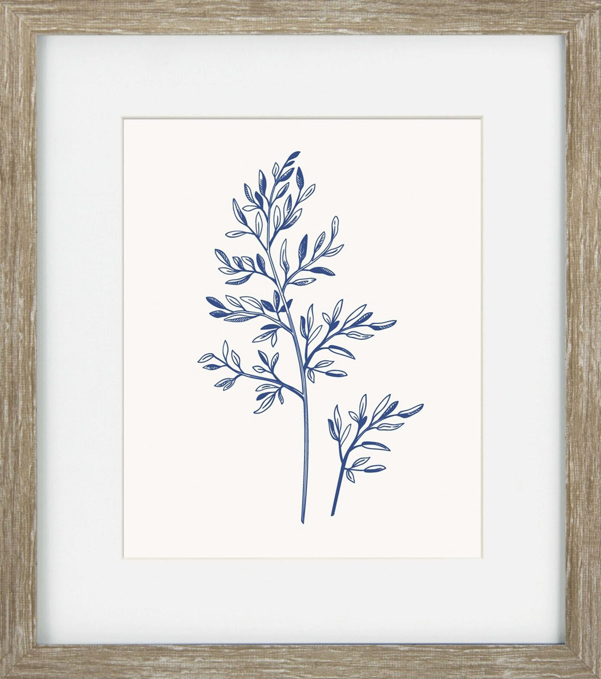 Blue Mist Ferns II