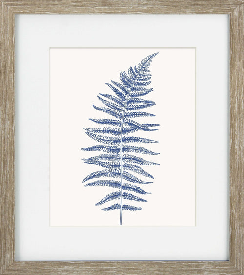 Blue Mist Ferns III