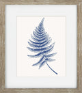 Blue Mist Ferns IV