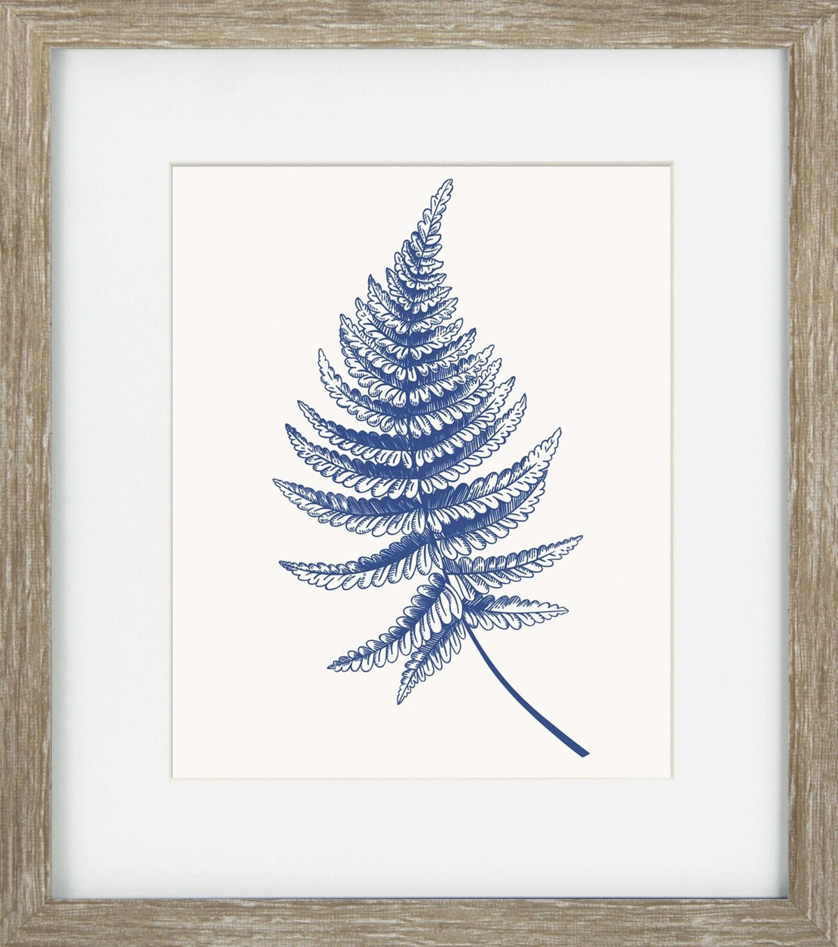 Blue Mist Ferns IV