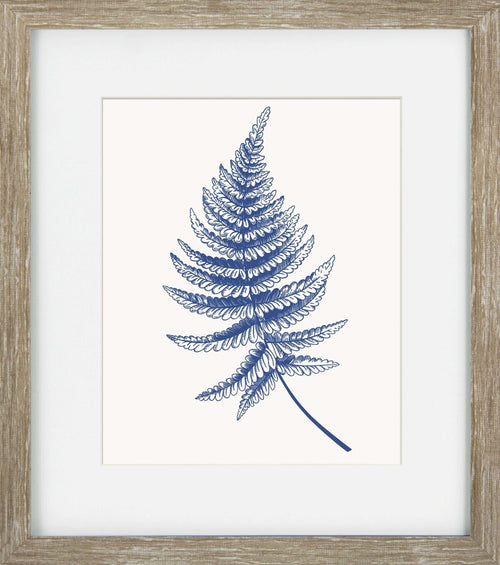 Blue Mist Ferns IV