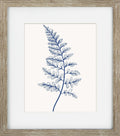 Blue Mist Ferns V