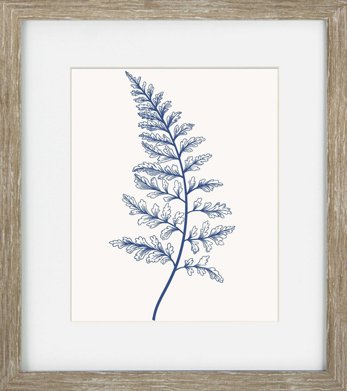 Blue Mist Ferns V