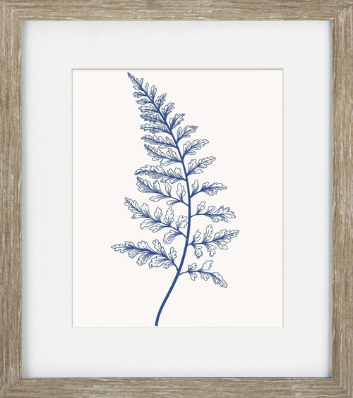 Blue Mist Ferns V