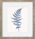 Blue Mist Ferns VI
