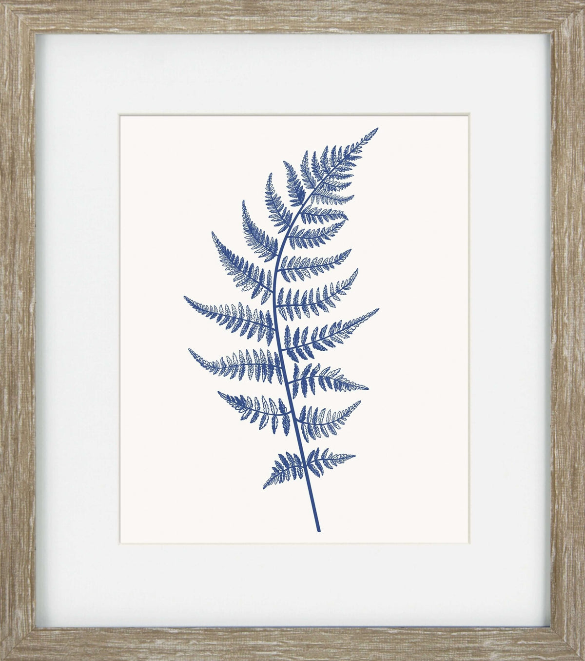 Blue Mist Ferns VI