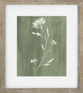 Sage Essence IV
