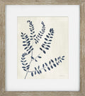 Indigo Botanicals I