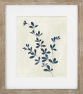Indigo Botanicals II