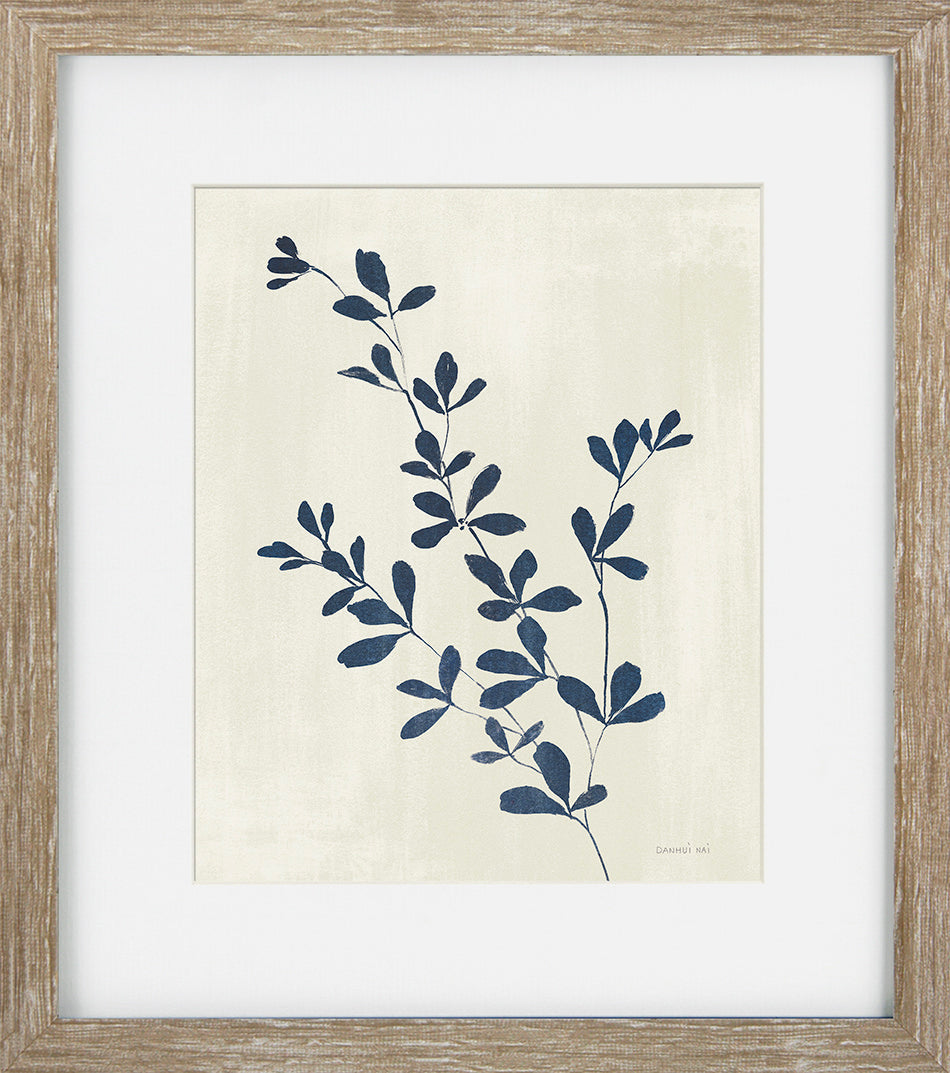 Indigo Botanicals II