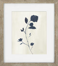 Indigo Botanicals III
