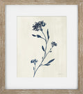 Indigo Botanicals IV