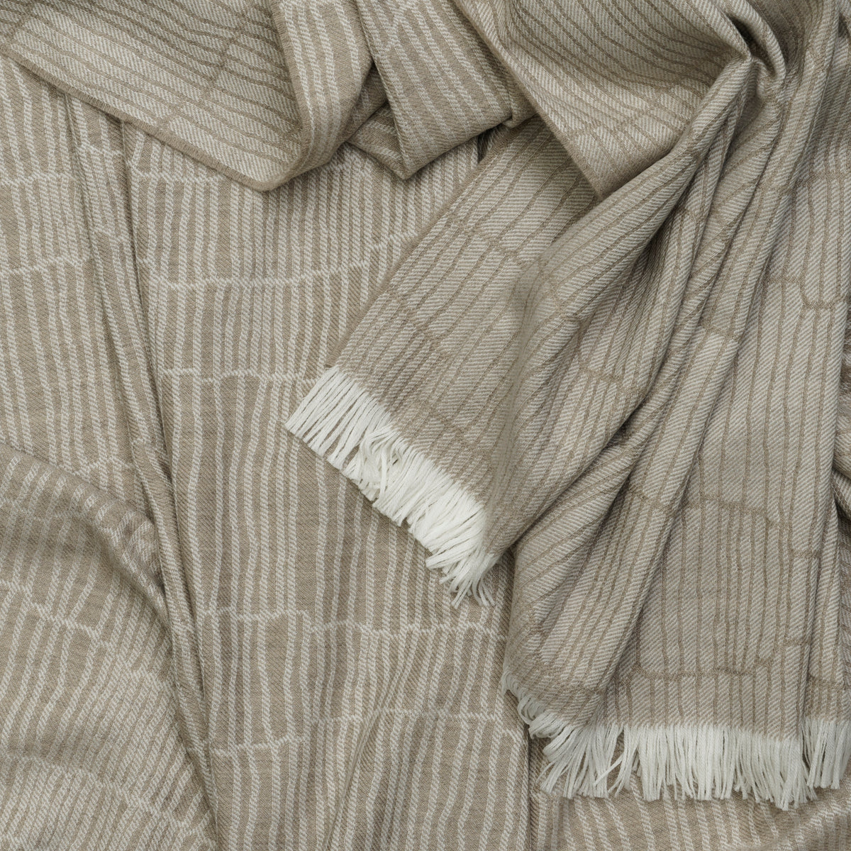 Canale Throw Latte