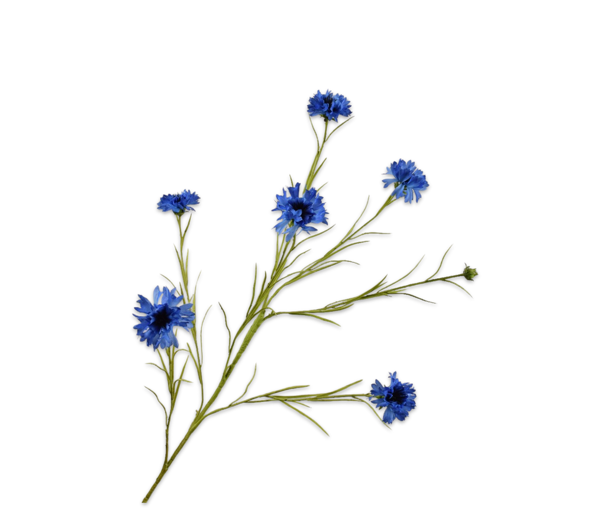 Cornflower Spray Blue