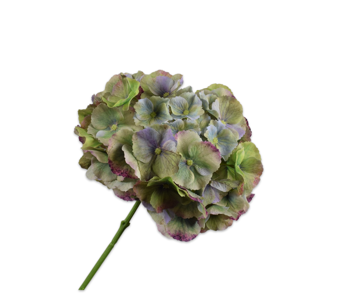 Vintage Green Hydrangea