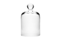 Belize Cloche Glass