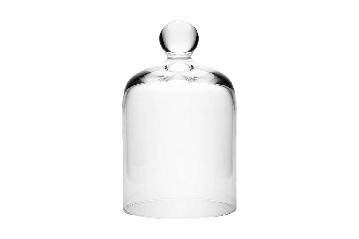 Belize Cloche Glass