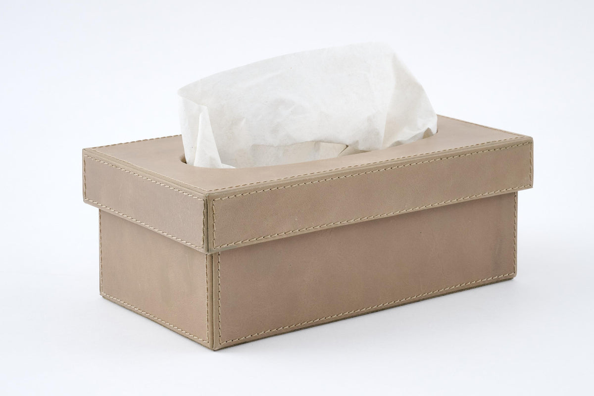 Tuscon tissue box