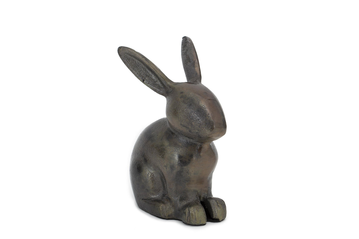 Finn Rabbit