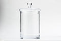 Lioni Jar