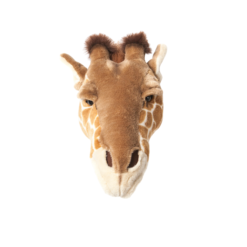 Head giraffe Ruby