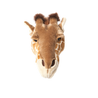 Head giraffe Ruby
