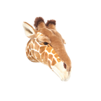 Head giraffe Ruby