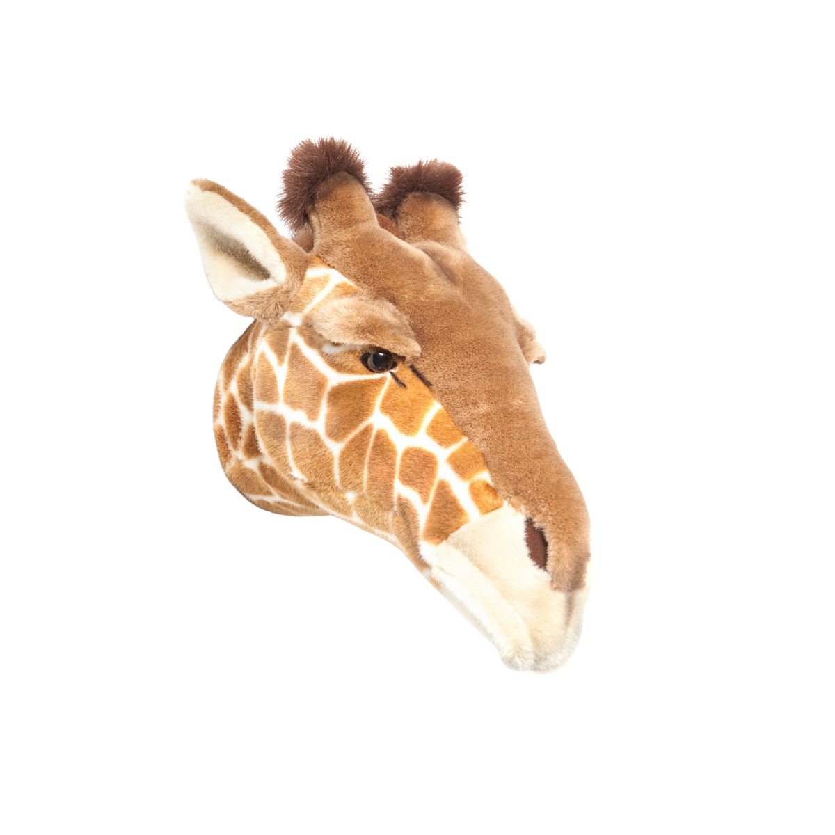 Head giraffe Ruby