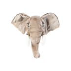 Head elephant George
