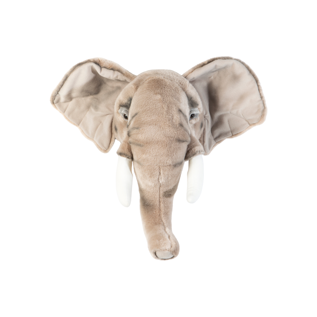 Head elephant George
