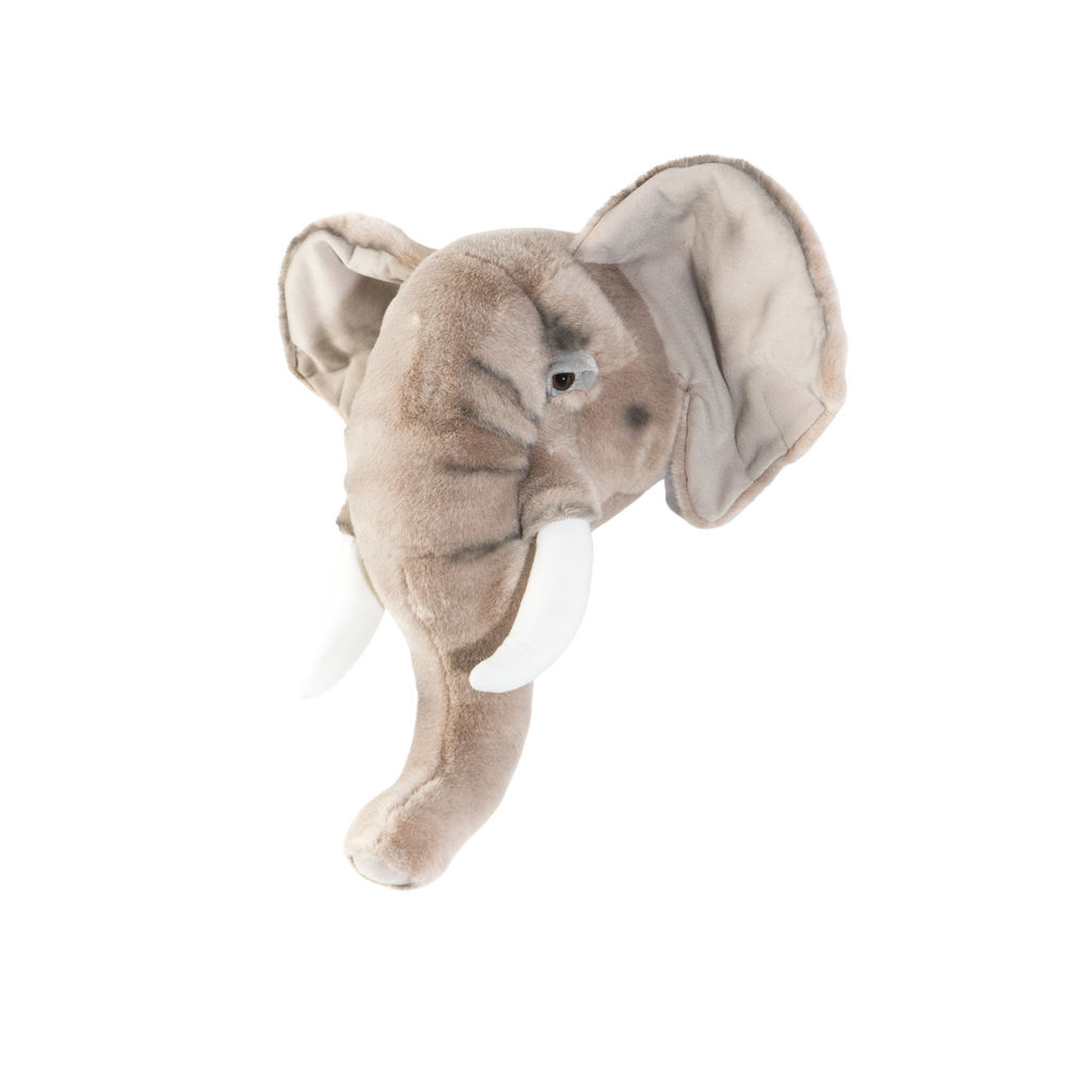 Head elephant George