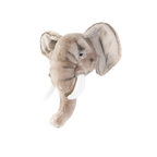 Head elephant George