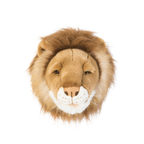 Head lion Cesar