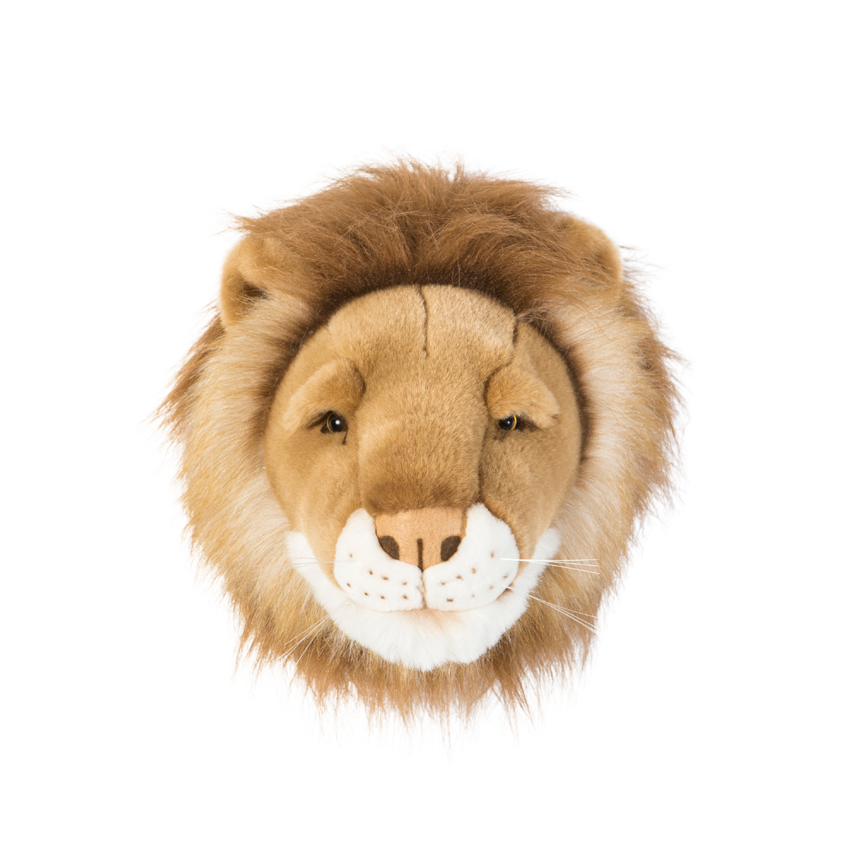 Head lion Cesar