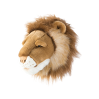 Head lion Cesar