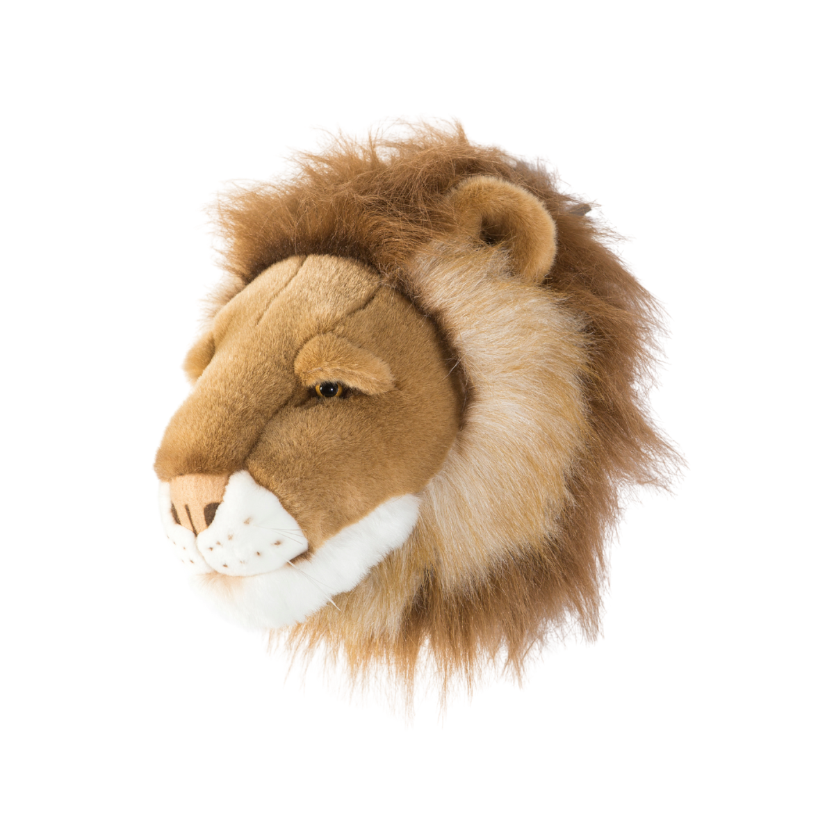 Head lion Cesar