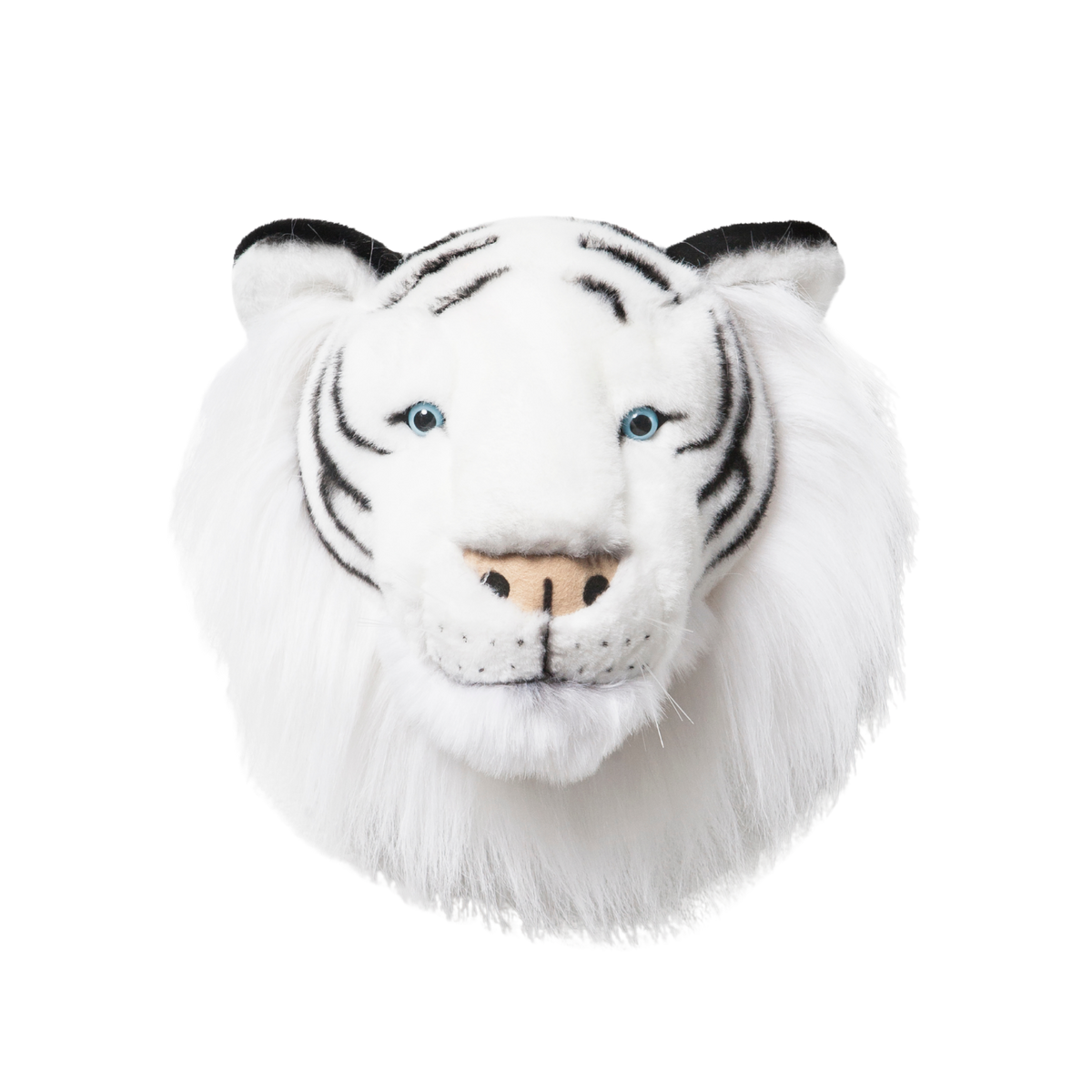 Head white tiger Albert