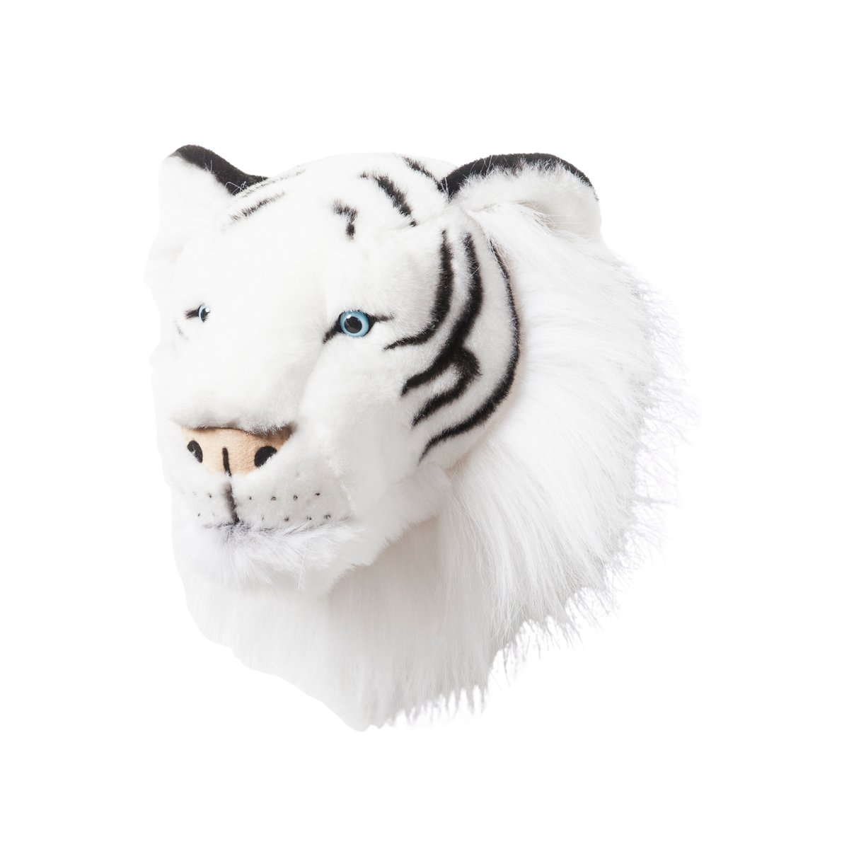 Head white tiger Albert