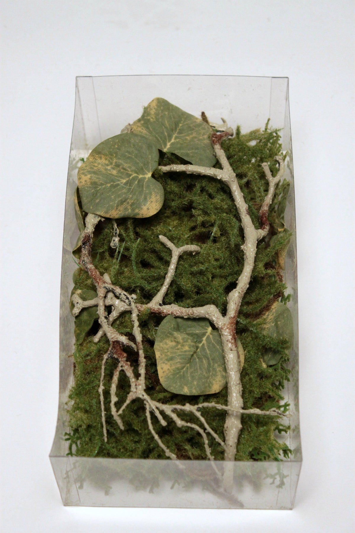 Mixflorist  and Eucalyptus IN Box