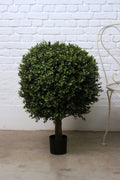 Boxwood Ball Pot