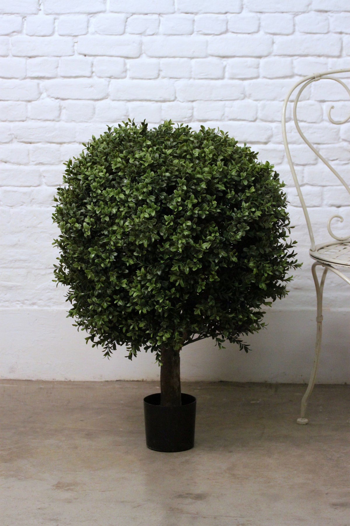 Boxwood Ball Pot