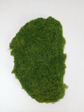 Moss Grass