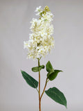 White Lilac Spray