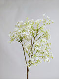 Baby Breath
