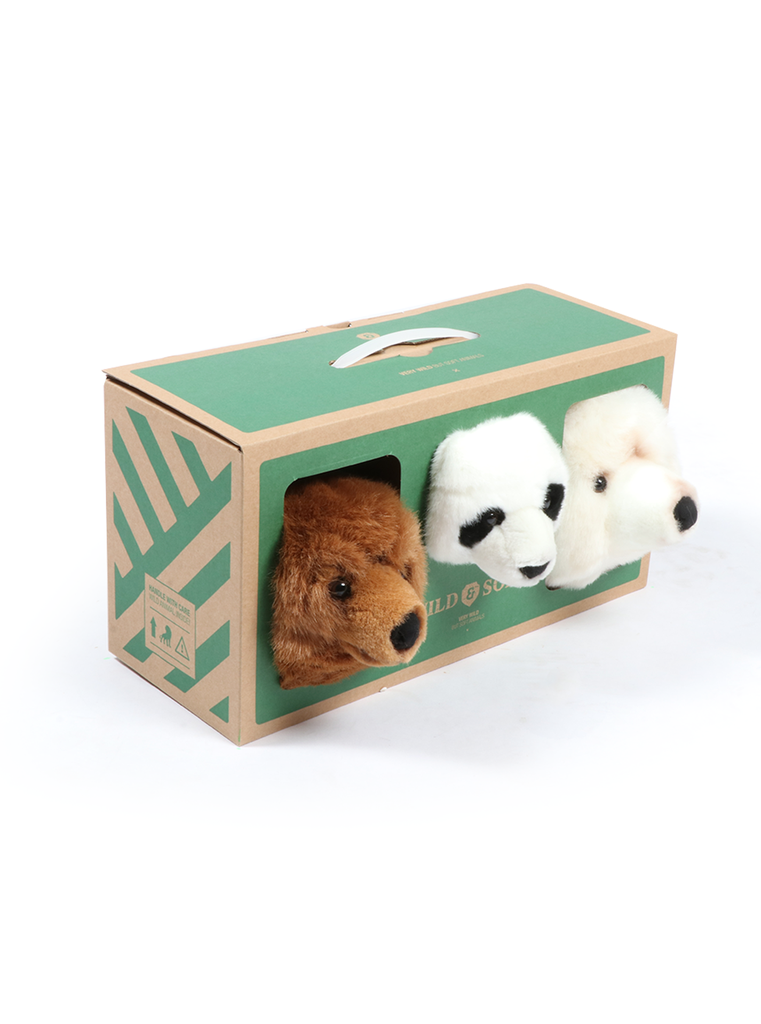 Bear box: set of 3 heads